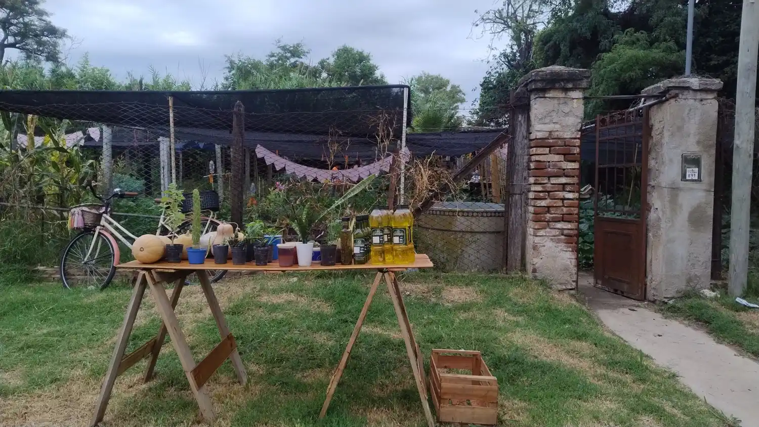 Robo en la huerta de Mujeres con Oficio: sustraen herramientas de trabajo imprescindibles