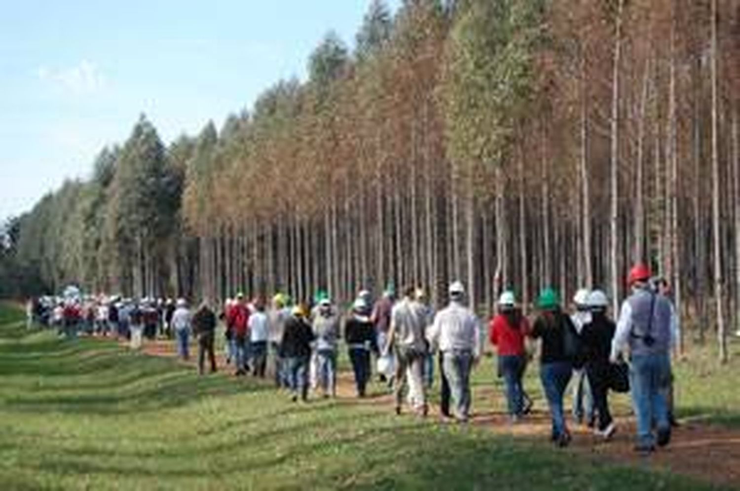 XXXVI Jornadas Forestales de Entre Ríos