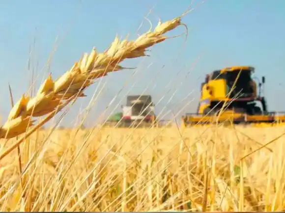 Carlos Castagnani sobre la baja de retenciones: "Las primeras impresiones son positivas"