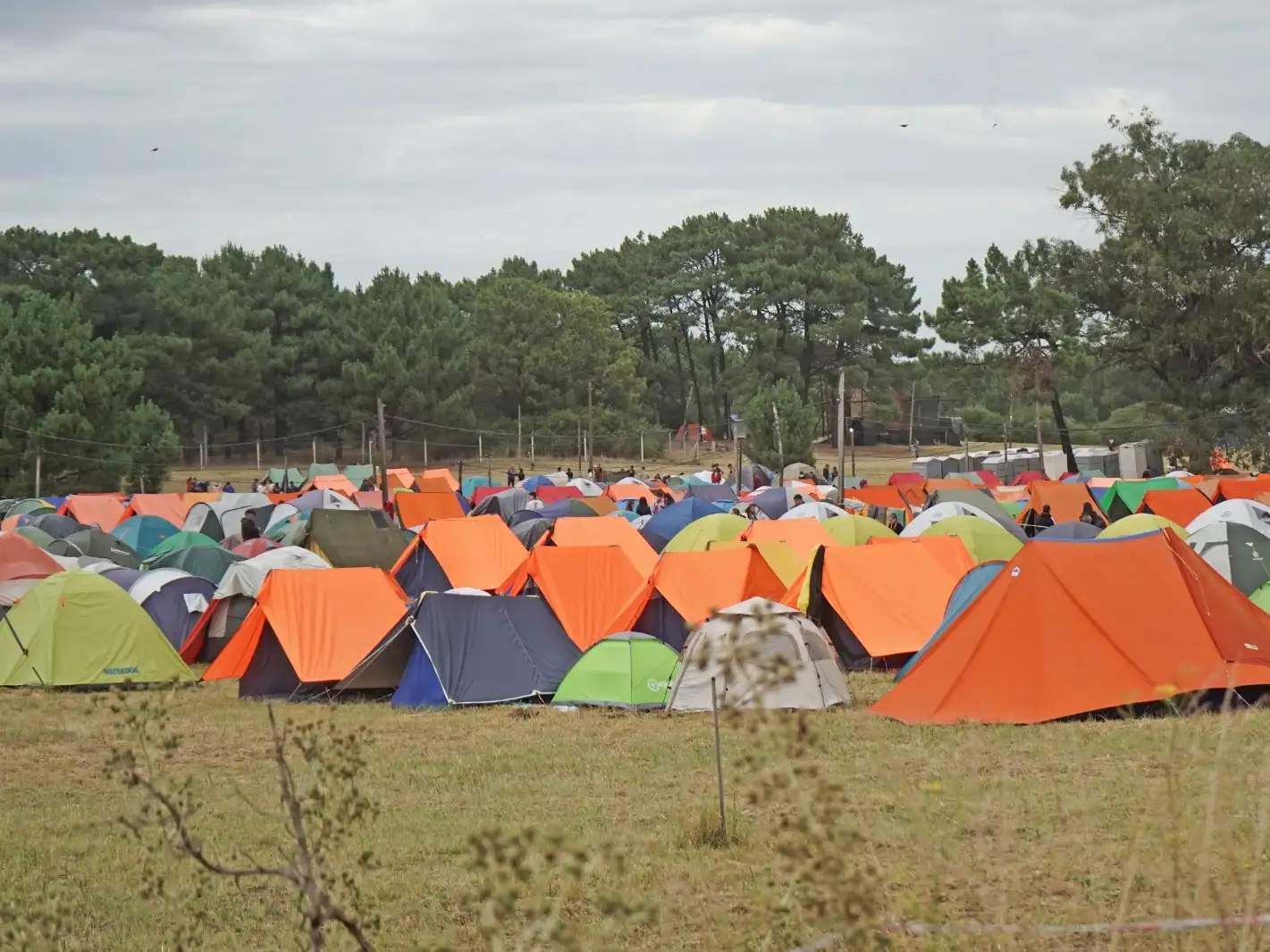 Campamento Scouts Rover Moot