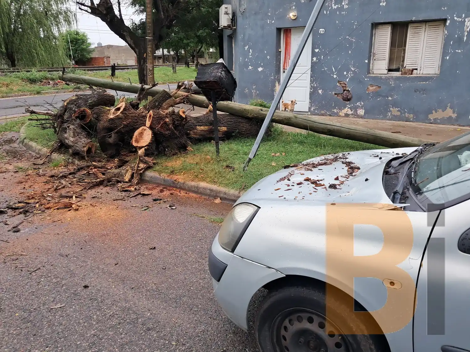 Destrozos y calles anegadas en Bragado. Foto: Bragado Informa