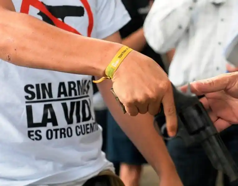 Almirante Brown: Extienden  el programa de desarme voluntario