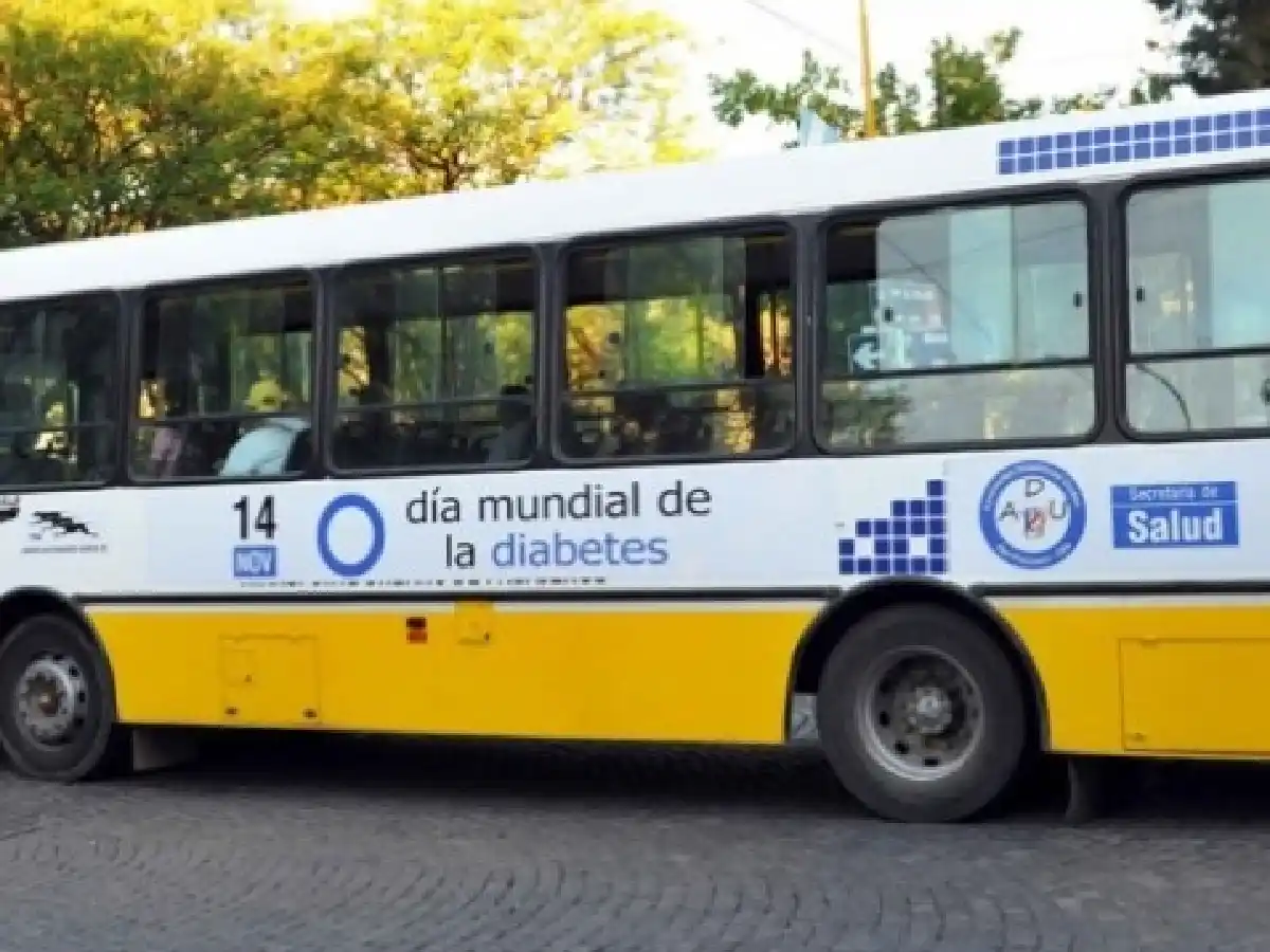  Colectivos: cambio en el recorrido de la línea B