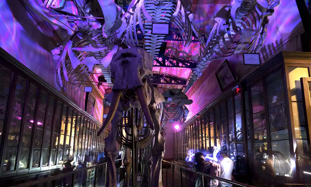 Vuelve la Noche de los Museos y abren convocatoria para que se sumen instituciones municipales