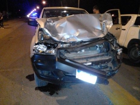Camioneta chocó contra dos caballos: los jinetes de 14 y 16 años con lesiones leves, los animales con heridas graves
