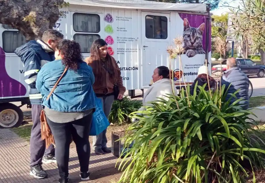 Castración. El móvil estará ubicado en 560 y 521