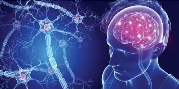 Día Mundial de la Esclerosis Múltiple: La importancia del diagnóstico precoz y  el acompañamiento