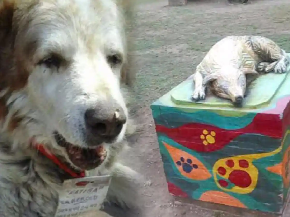 Un pueblo entero está de luto por la muerte de un perro