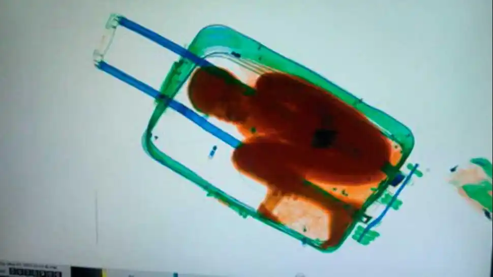 Intentó ingresar a un chico de 8 años en una valija para reunirse con su padre en España
