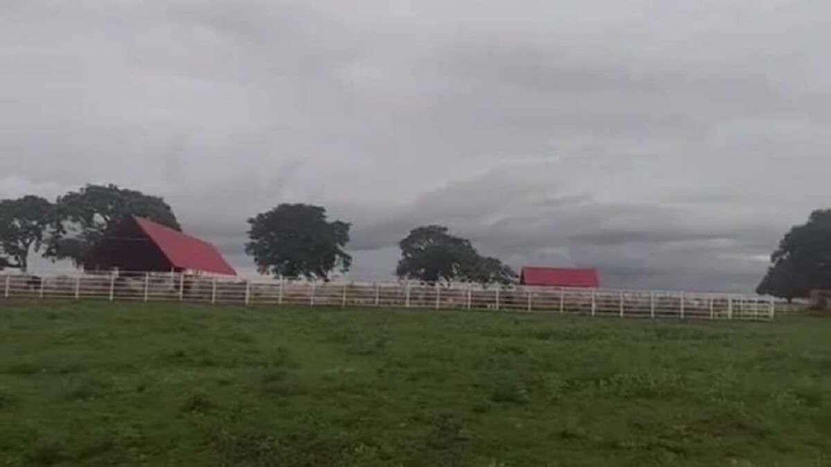¿GUAPOS Y APOYADOS? 250 guerrilleros del ELN invaden hato en el estado Apure