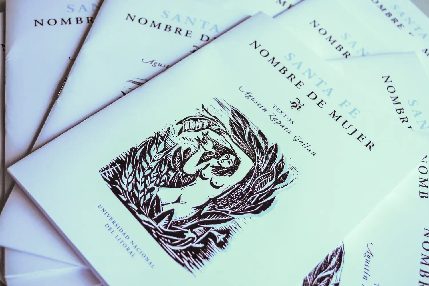 Ediciones UNL lanza “Santa Fe, una ciudad con nombre de mujer”