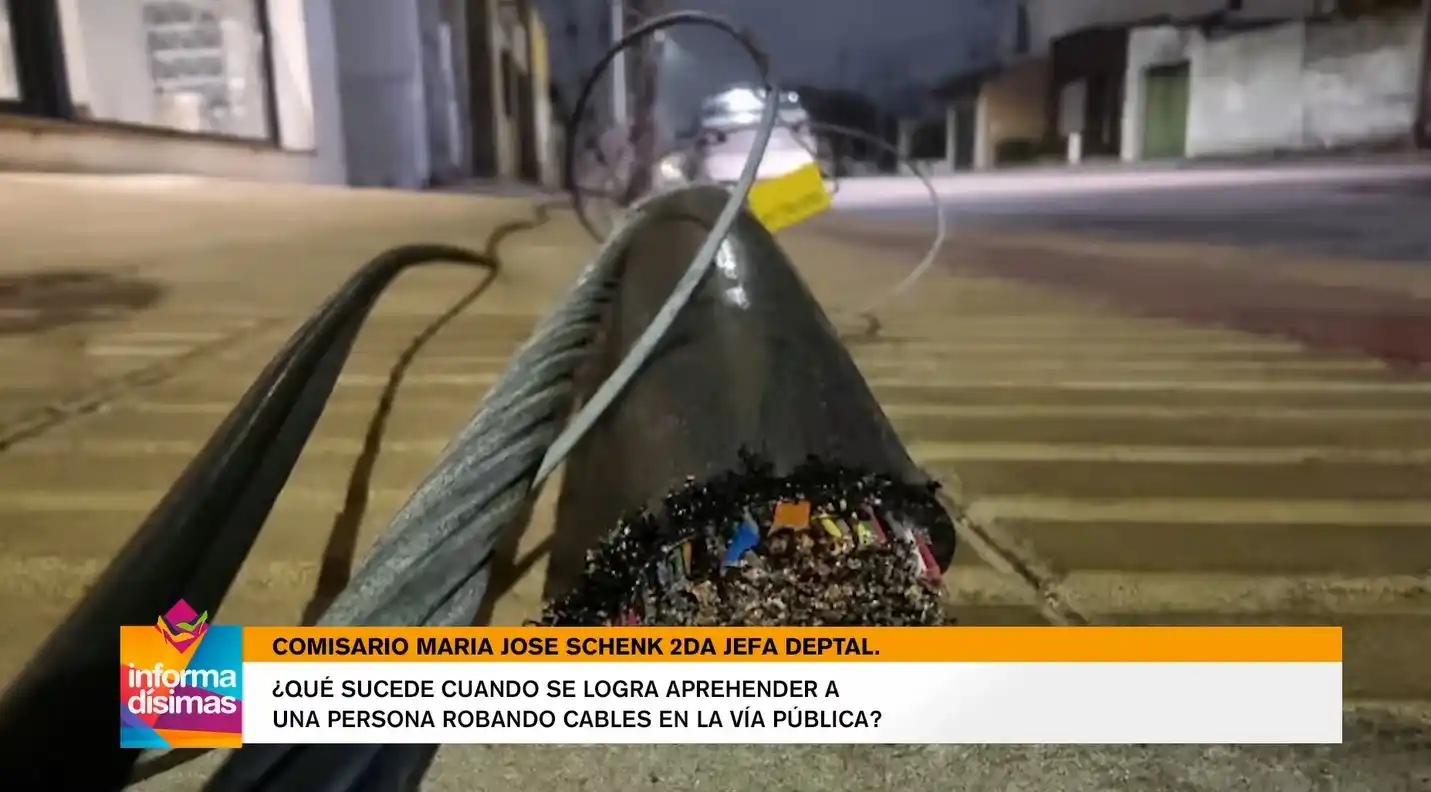 ¿Qué sucede cuando se logra aprehender a una persona robando cables en la vía publica?