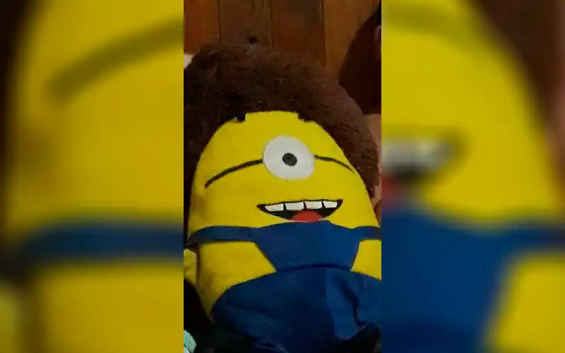 Buscan el Minions de Bruno