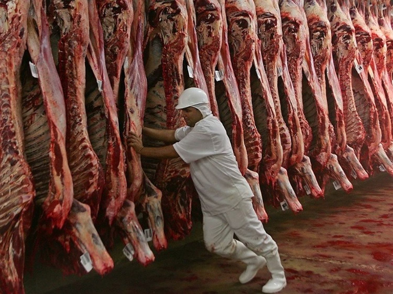 La faena bovina cortó el tobogán y vuelve a aumentar la oferta de carne