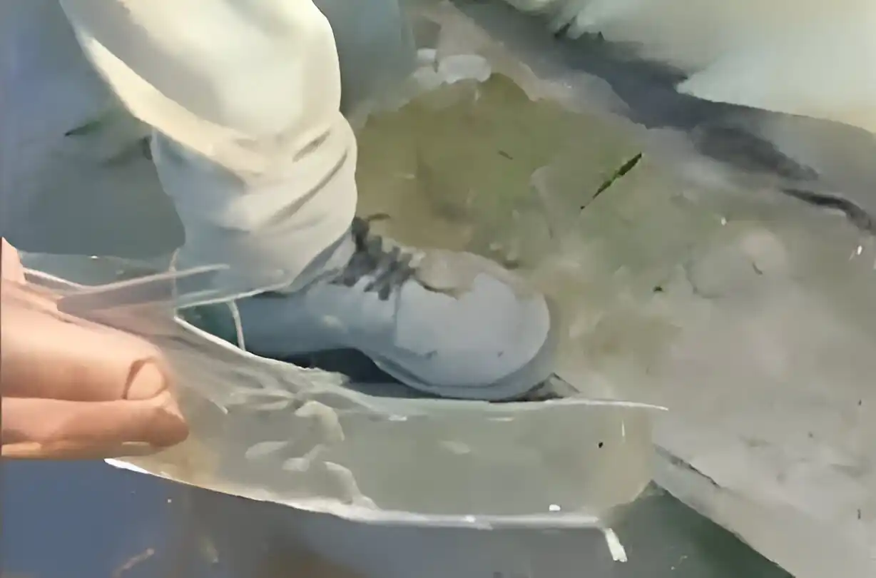 heladas toto de los aromitos