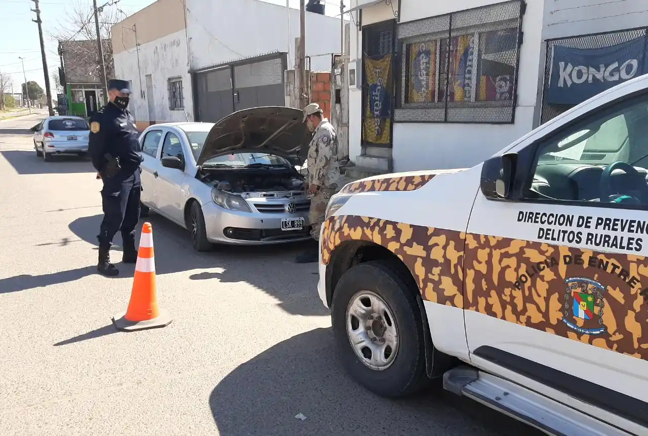 Incautaron un auto con pedido de secuestro y patente apócrifa