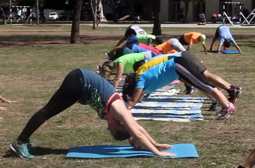 La importancia del entrenador