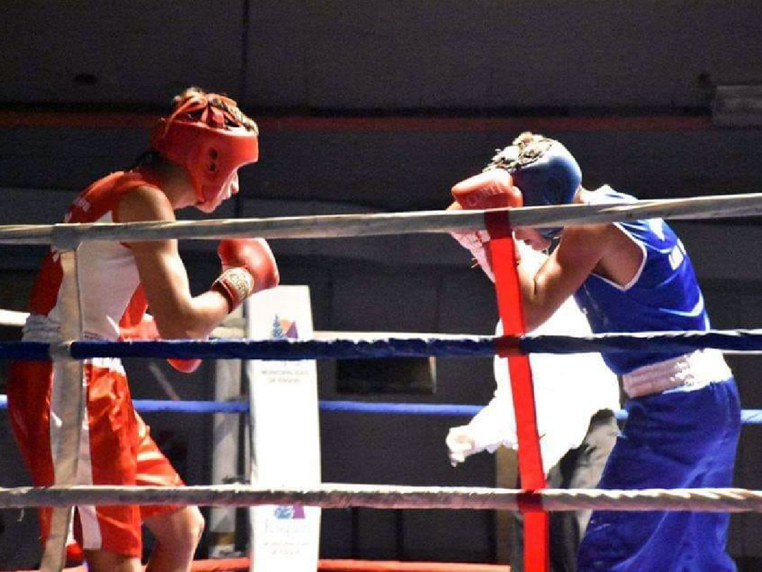 Se realizará festival amateur de boxeo en Freyre