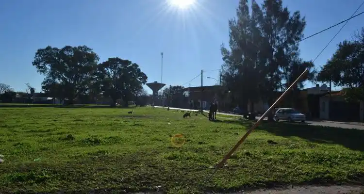 Escuela secundaria  y Conservatorio de Música para los terrenos de Papel Prensa