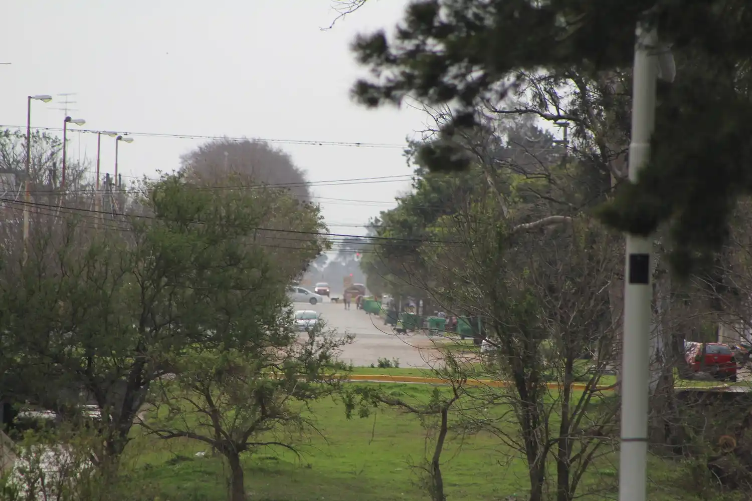 Renovaron alerta amarilla por ráfagas de viento para Gualeguay y otros departamentos