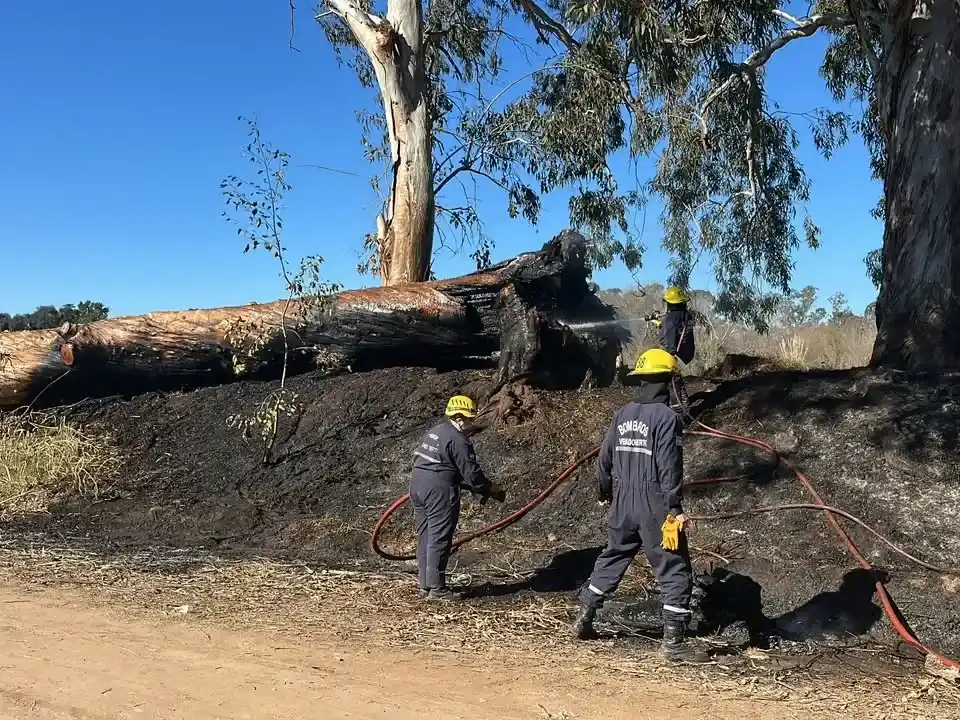 Ardua tarea de bomberos vendenses.