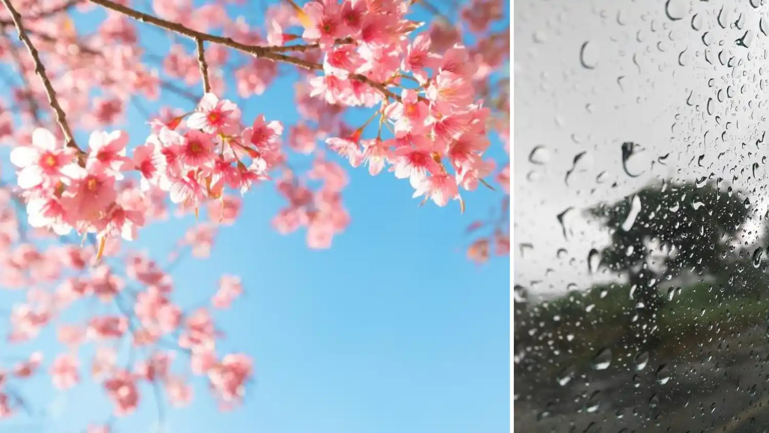 Una semana primaveral con un miércoles de lluvia
