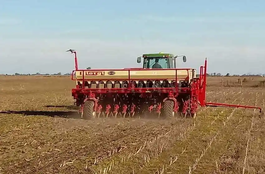 Medida de fuerza tras la suba de retenciones: productores santafesinos no sembrarán más trigo