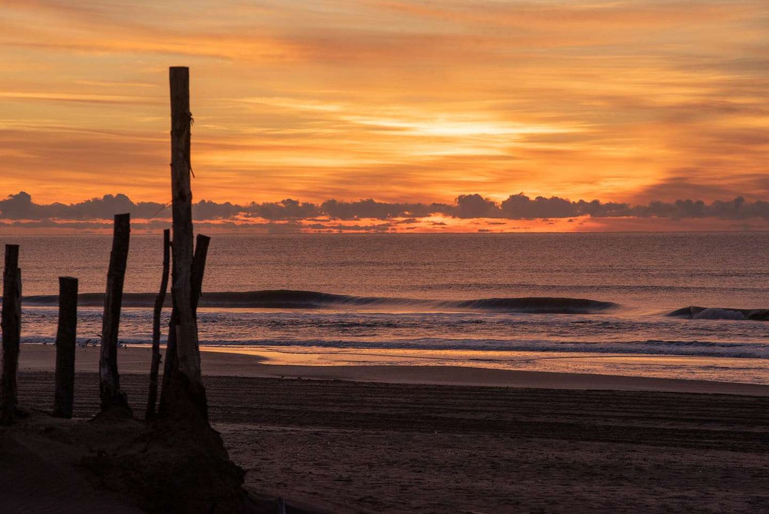 pinamar