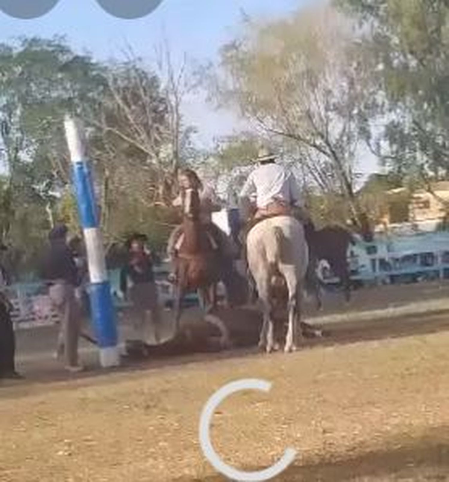 El gaucho que castigó a rebencazos a un caballo acordó una pena