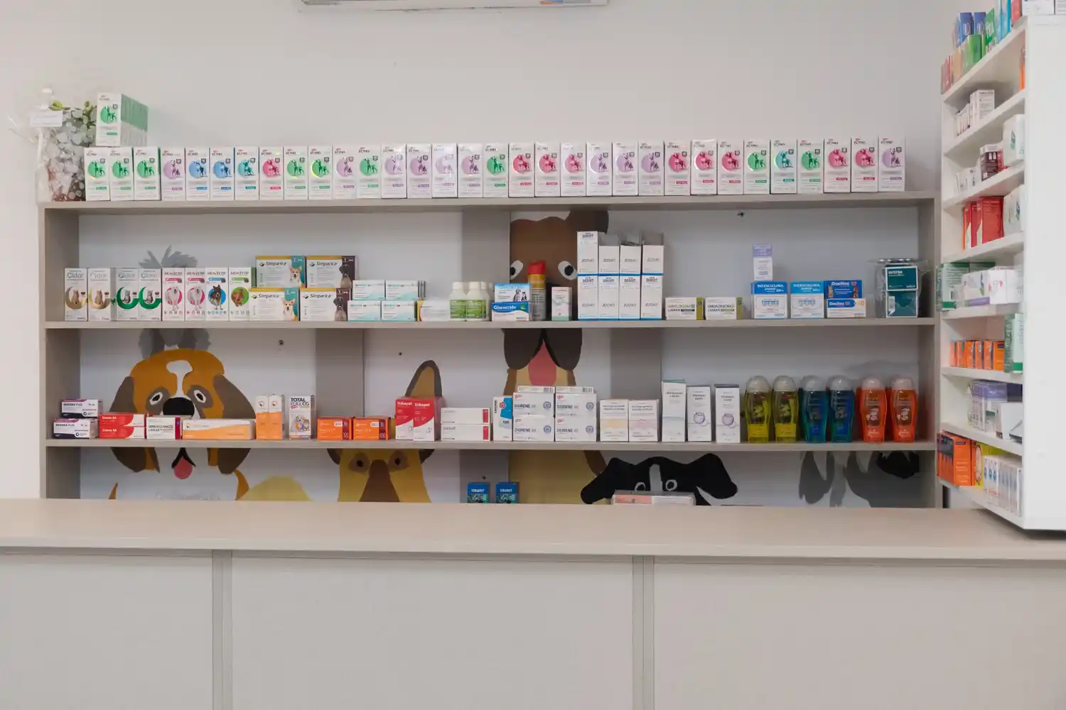 Farmacia