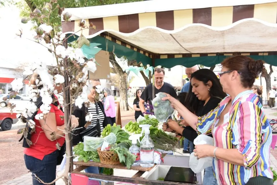 Producción local y sustentable en la “Feria desde el origen”