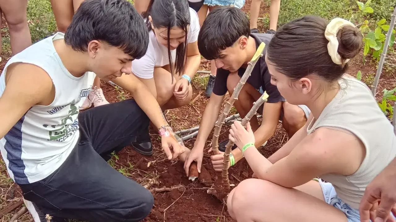 Los alumnos, docentes y otros integrantes de la delegación tresarroyense observaron plantaciones típicas de Misiones