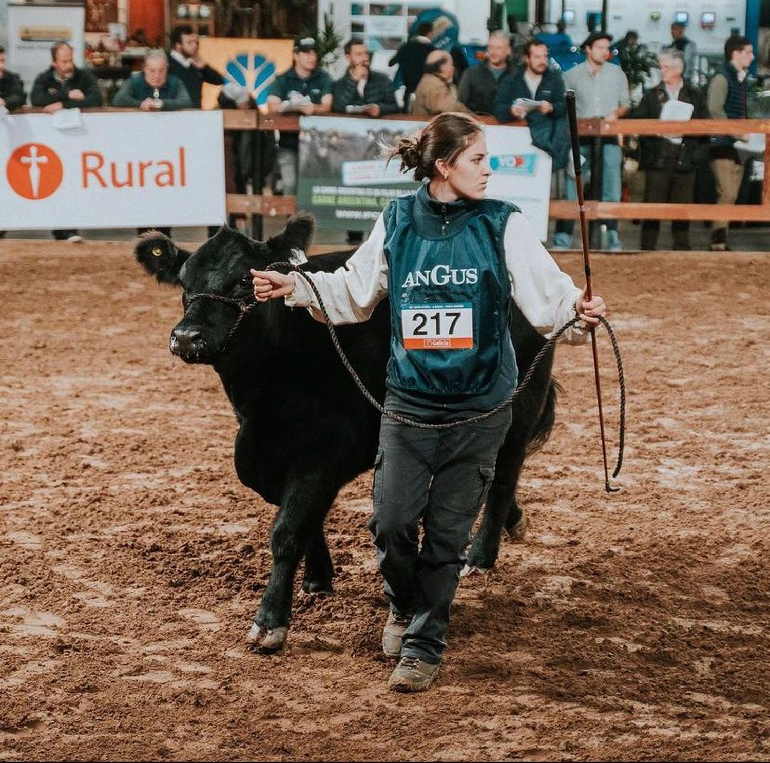 Clara Hernández, durante la Exposición Angus en Palermo, adonde fue la única mujer en salir a la pista.