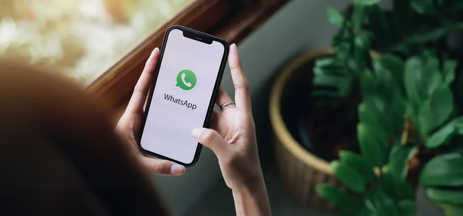 whatsapp wpp whats app - 2