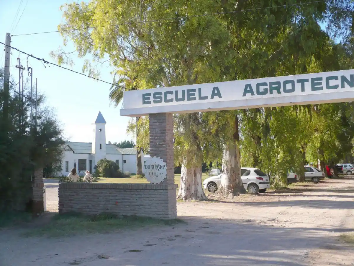 El valor de la educación agrotécnica