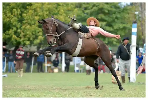 Festival de Jineteada y Baile de la Patria Gaucha de Madariaga