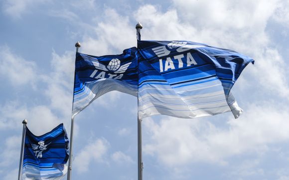 Ni la carga se salvó: IATA expuso su análisis del mercado carguero de 2020