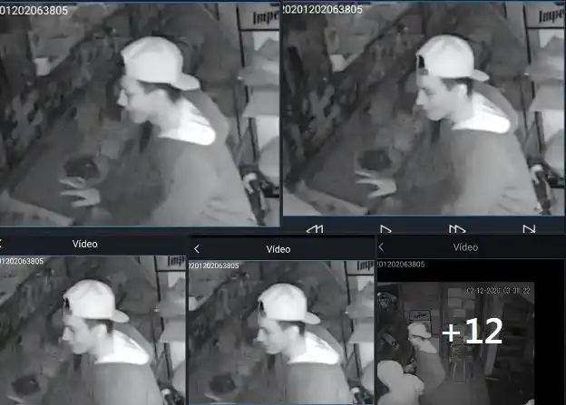 Entraron a un comercio de Quequén a robar bebidas y a romper y mataron a un perro