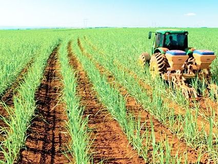 Estiman una caída en la superficie sembrada para la campaña 2025/26