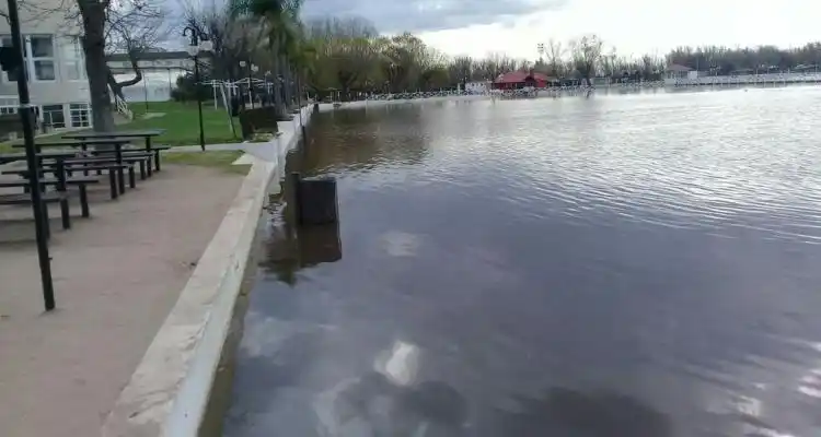 #Creciente