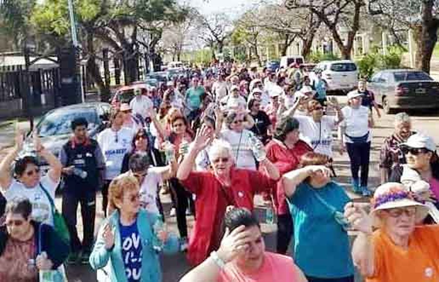 Caminata por el día de las personas mayores