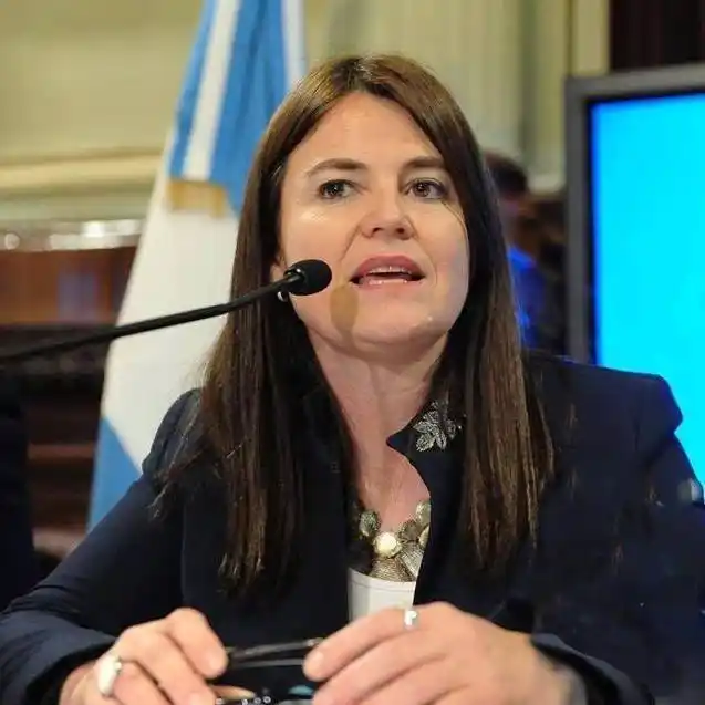 Kunath propone instalar una agenda legislativa de cuidados en el Senado