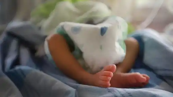 FALLECIÓ A HORAS DE RESCATARLA: hallan a bebé abandonada en  zona boscosa de Lara