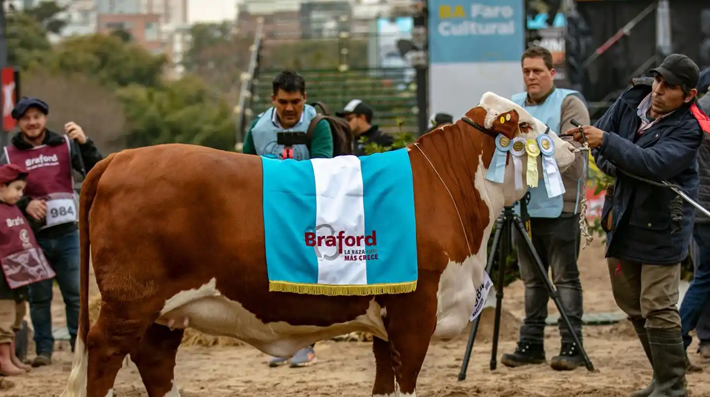 Remate récord en La Rural: pagaron más de $19 millones por la mitad de la vaca que se consagró Gran Campeón Hembra