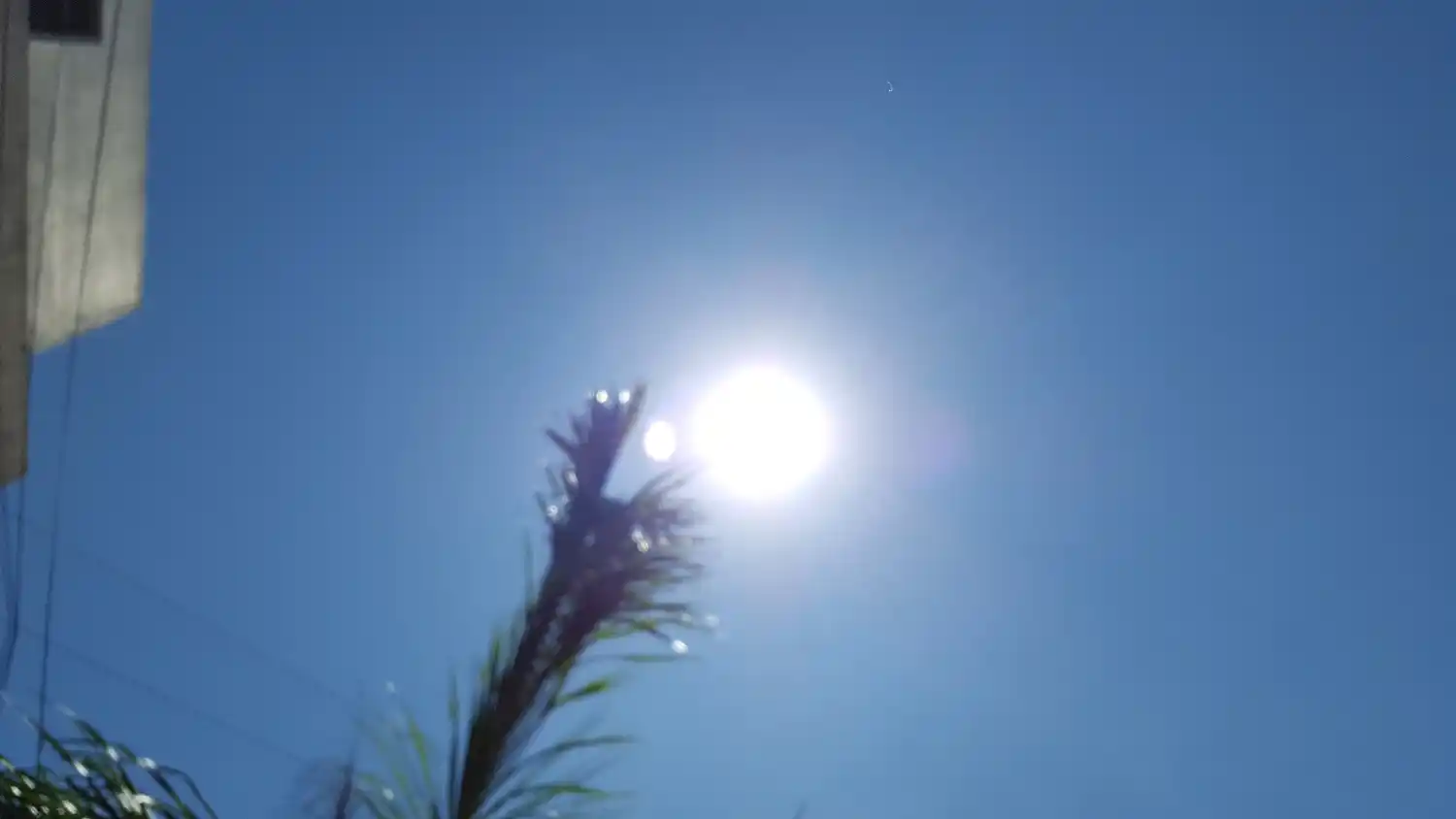 Luego de las precipitaciones salio el sol