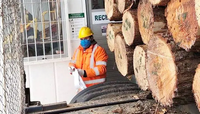¿Cómo trabaja el sector forestal bajo distanciamiento social?