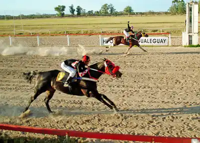 Turf: el domingo se supendió la reunión turfística local