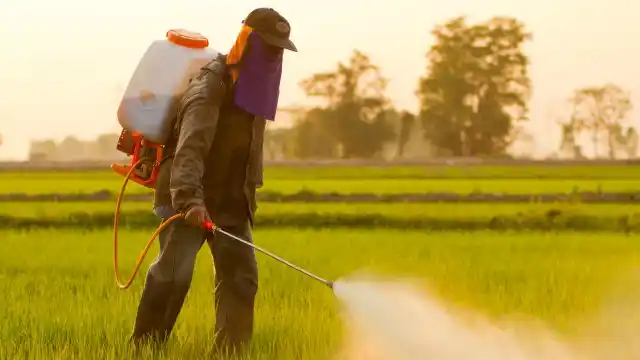 Un herbicida con glifosato le causó cáncer a una persona