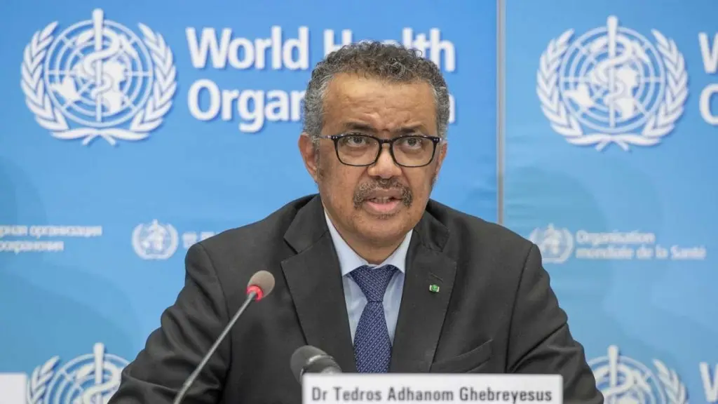 Organización Mundial de la Salud (OMS)