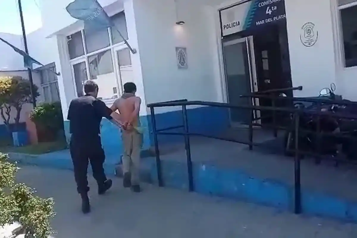 Mar del Plata: Un perro está grave tras defender a su dueña cuando el hermano trató de matarla